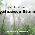 Ayahuasca Stories