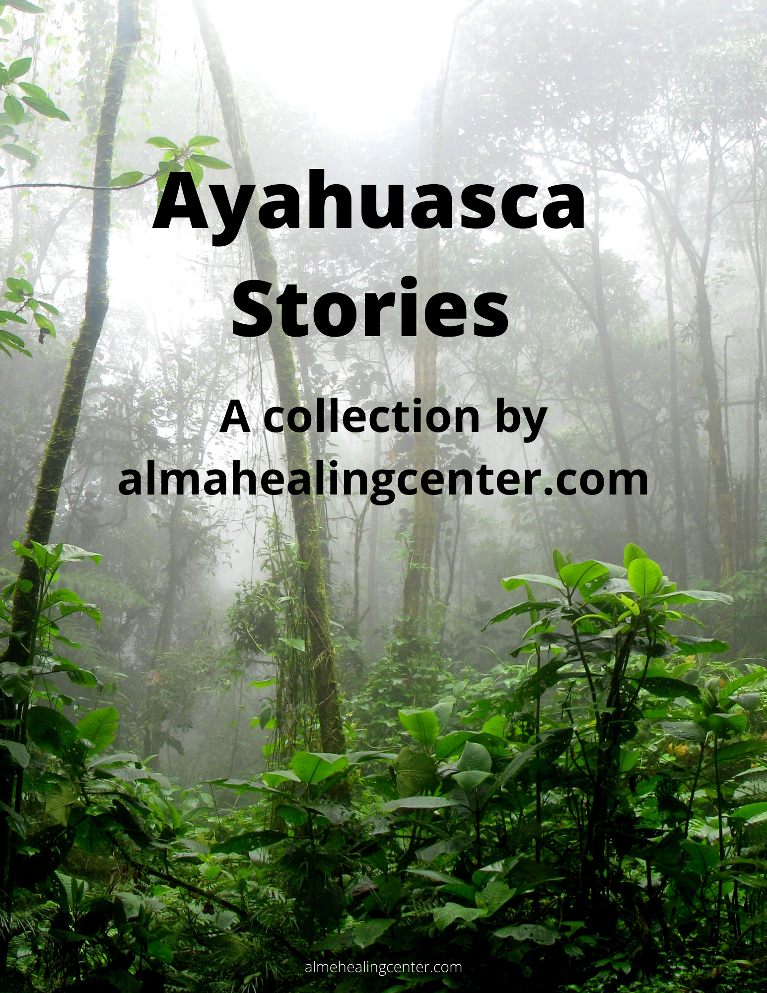 ayahuasca trip stories