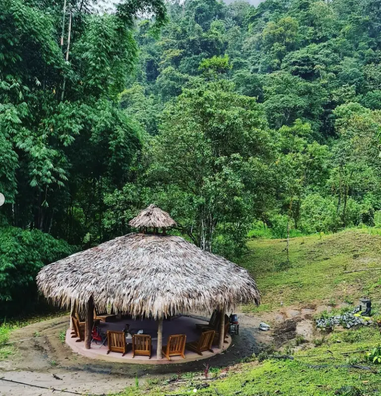 Ayahuasca Retreat ceremony space