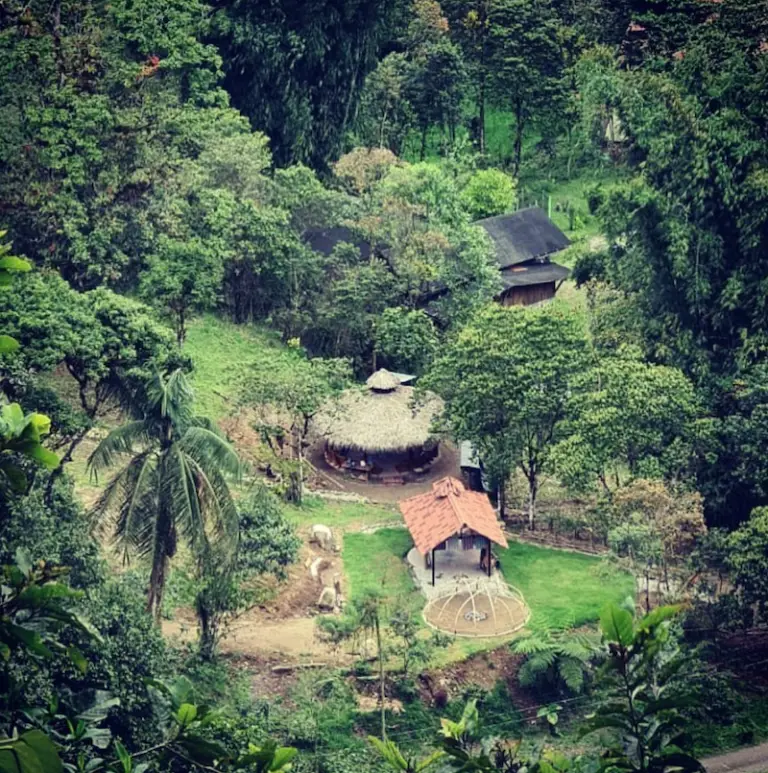 Ayahuasca Retreat in rainforest