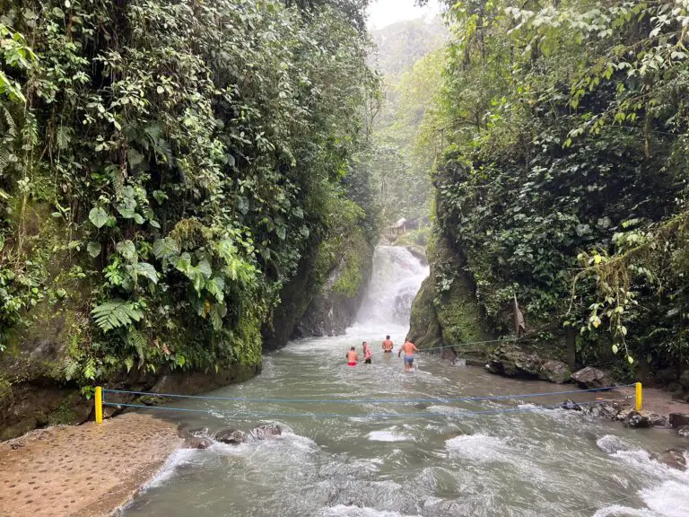 ayahuasca retreat jungle