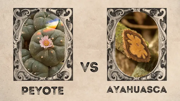 PEYOTE Vs AYAHUASCA - Alma Healing Center