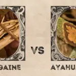 Ayahuasca vs Ibogaine