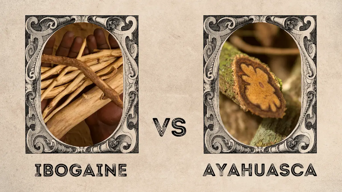 You are currently viewing Ayahuasca vs Ibogaine