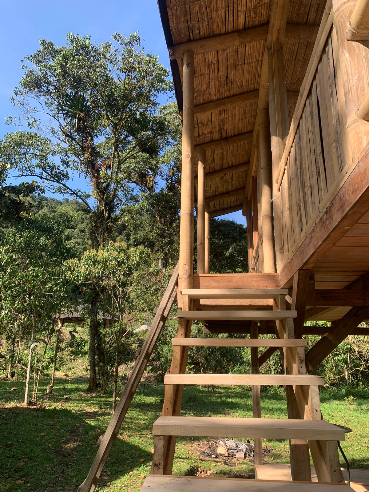 bamboo house ecuador