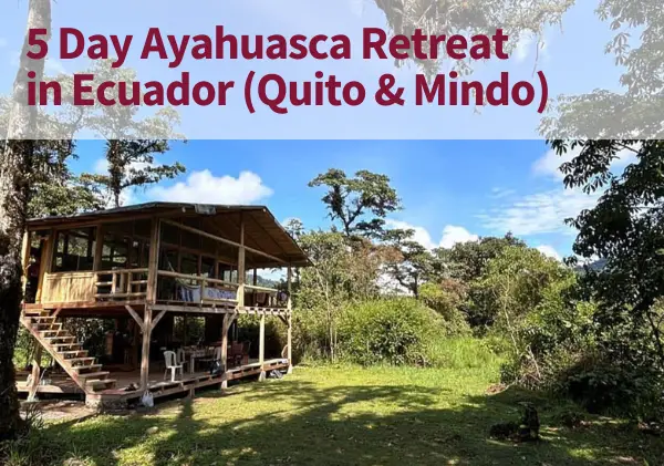 5 day ayahuasca retreat