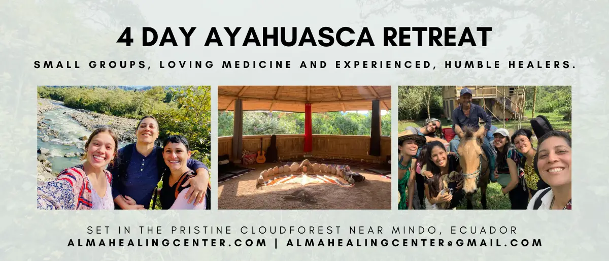 4 day ayahuasca retreat