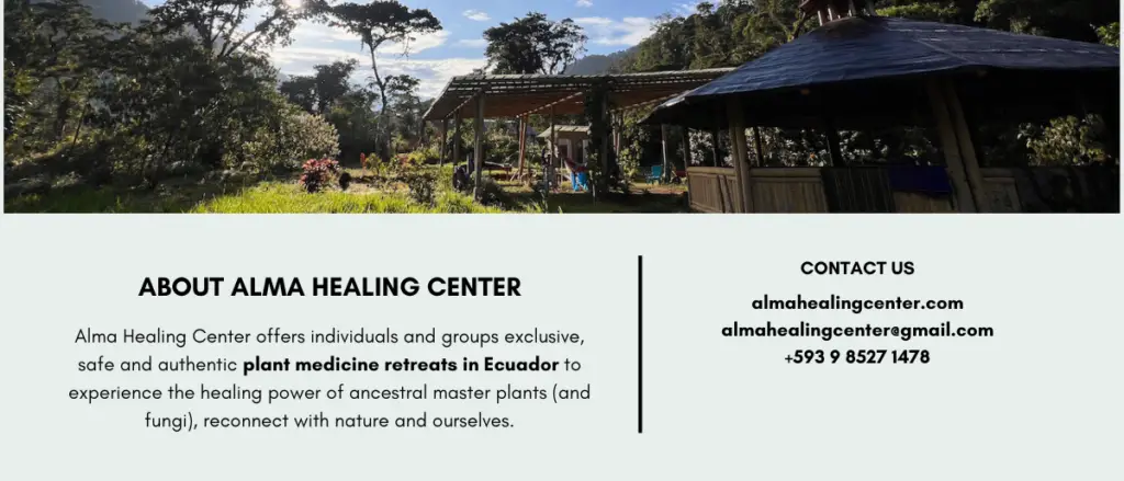 4 day ayahuasca retreat ecuador