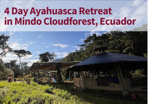 4 day ayahuasca retreat ecuador