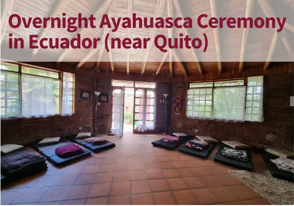 Ayahuasca Ceremony Quito