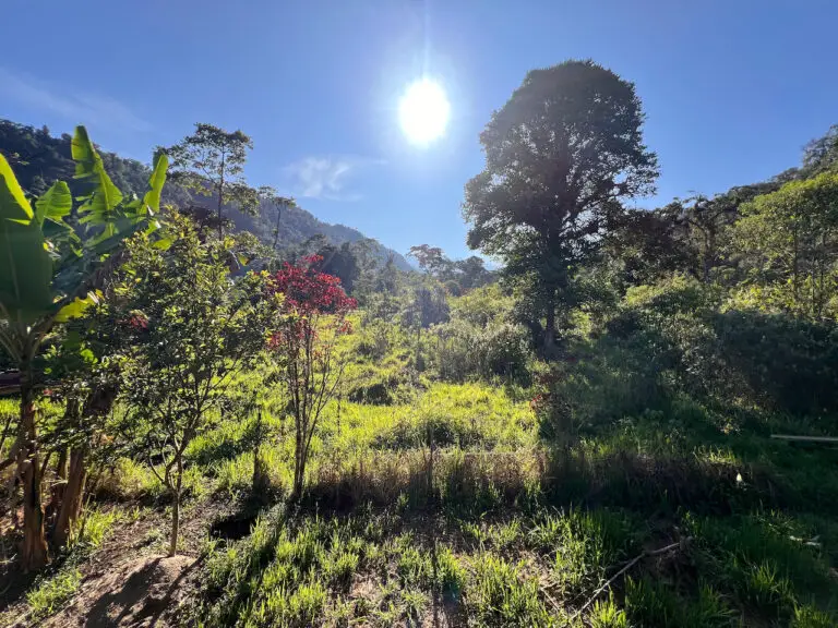 nature retreats ecuador